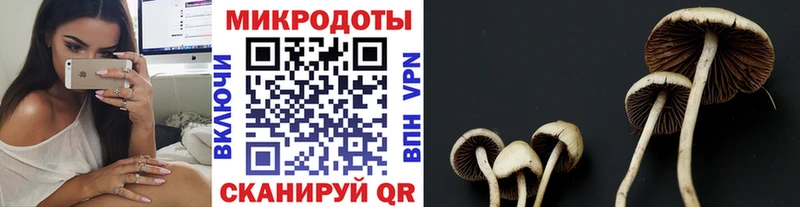 Галлюциногенные грибы ЛСД  Усть-Джегута 