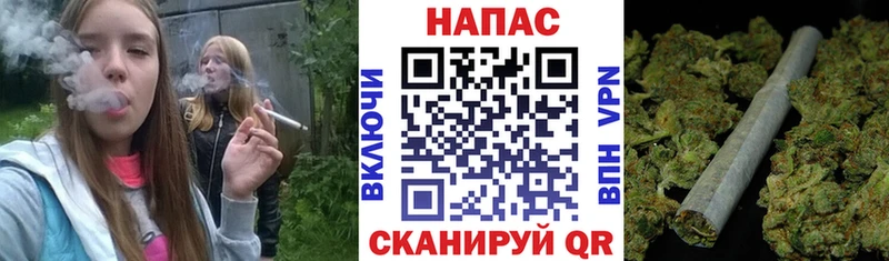 Конопля сатива  блэк спрут как зайти  Усть-Джегута 